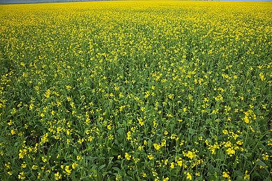 国产恐怖游戏《收容：秘密档案》发售 特惠43.2元